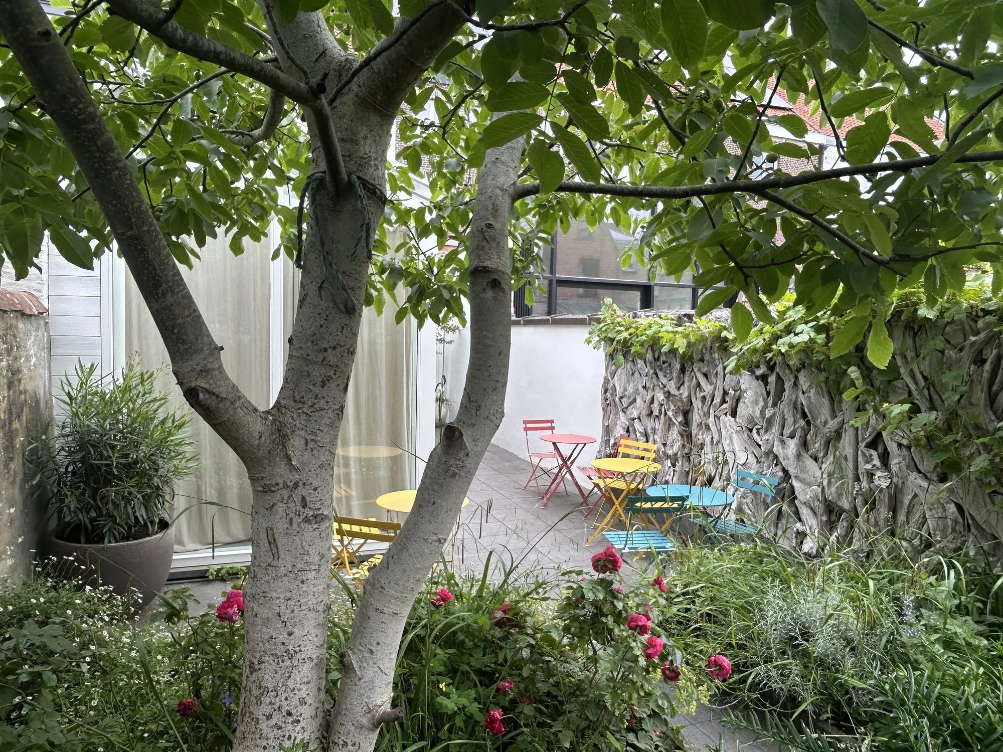 City garden with bistro seating beneath the fig tree