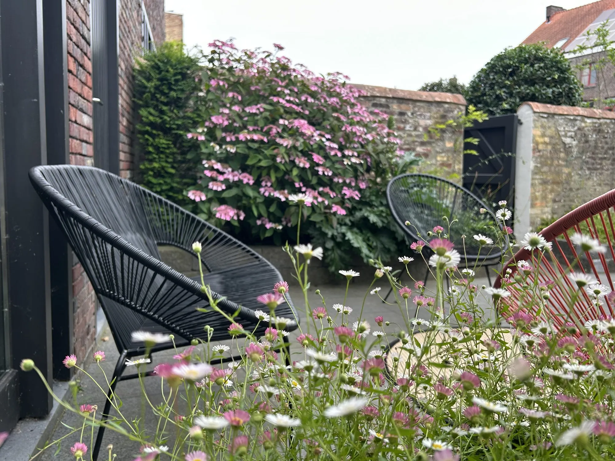 Lounge chairs among the garden's wild flowers