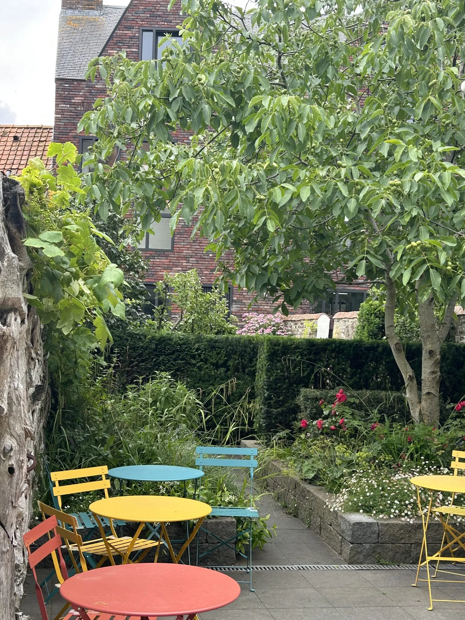 The city garden with colourful bistro chairs among the greenery